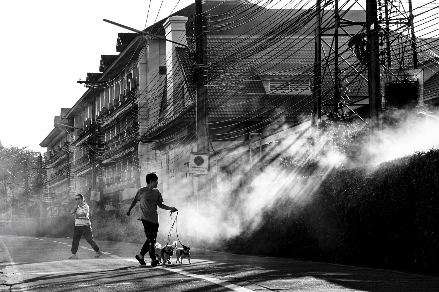 Odyssey Photographer