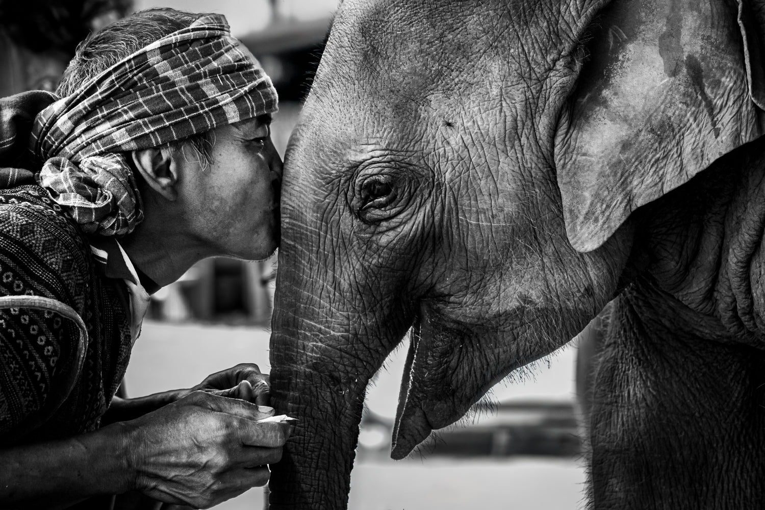 Odyssey Photographer