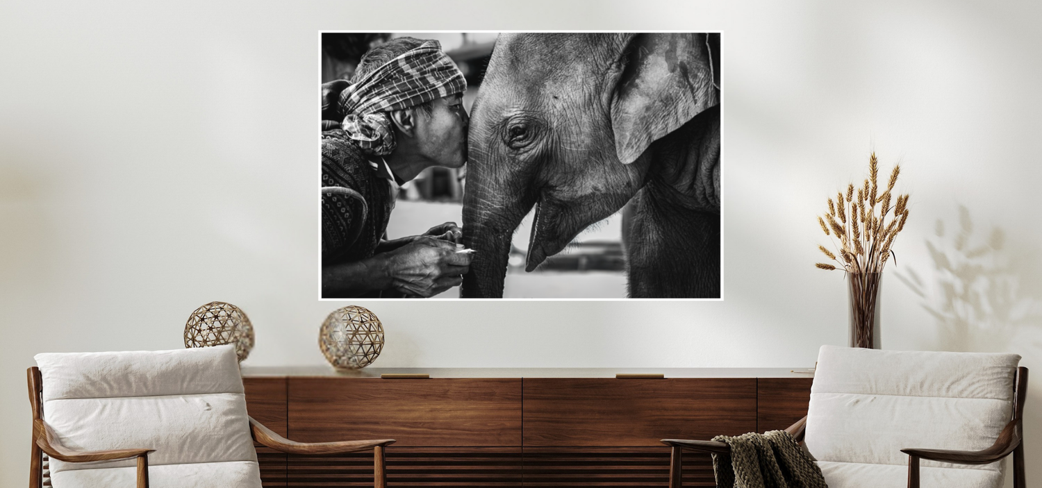 Odyssey Photographer