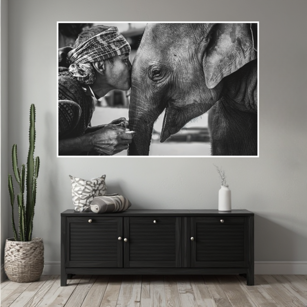 Elephant whisper