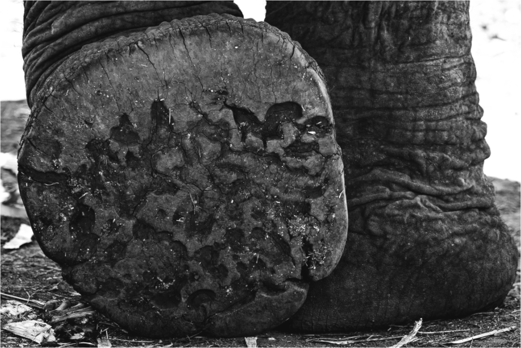 Imprint of Time